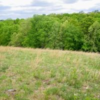 107 Acres of Seclusion to Hunt Graze or Build your Home images 5
