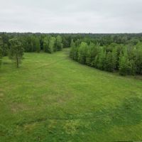 LA - Caldwell 48 acres - images 4