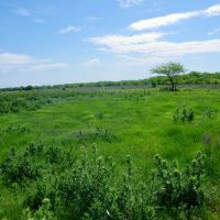 156 Cattle Ranch with Lake images 2