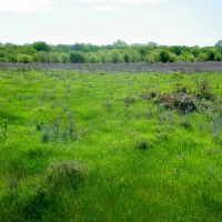 156 Cattle Ranch with Lake images 3