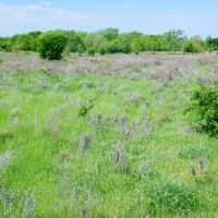 156 Cattle Ranch with Lake images 5