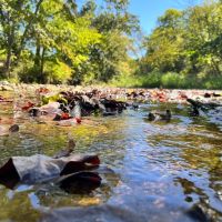 Missouri Ranch for Sale images 4