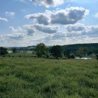 Missouri Ranch for Sale images 5