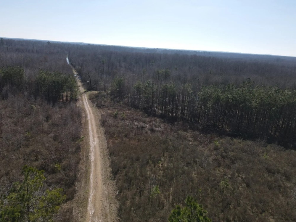 Incredible Riverfront Hunting Land in Prescott Arkansas - 1 230 Acres featured image