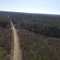Incredible Riverfront Hunting Land in Prescott Arkansas - 1 230 Acres
