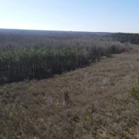 Incredible Riverfront Hunting Land in Prescott Arkansas - 1 230 Acres images 2