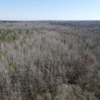 Incredible Riverfront Hunting Land in Prescott Arkansas - 1 230 Acres images 5