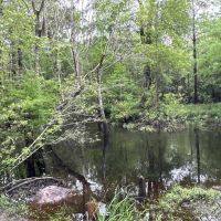 Red Hill Retreat images 3