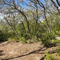 Red Hill Retreat images 4