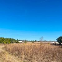 Sumter Pines images 4