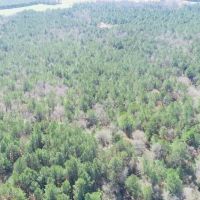 Sumter Pines images 5