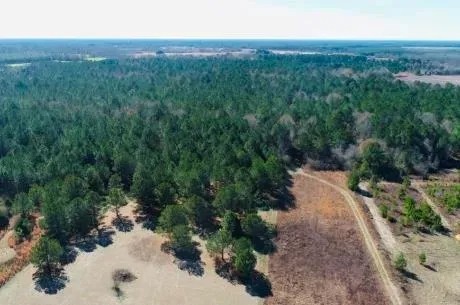 Sumter Pines featured image