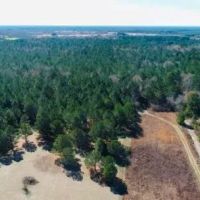 Sumter Pines