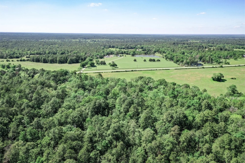 45 Acres FM 946 N featured image