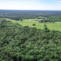 45 Acres FM 946 N images 4