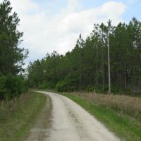 Otter Creek East Tract images 3