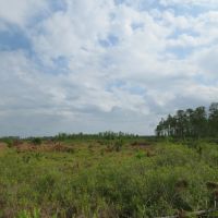 Otter Creek East Tract images 5