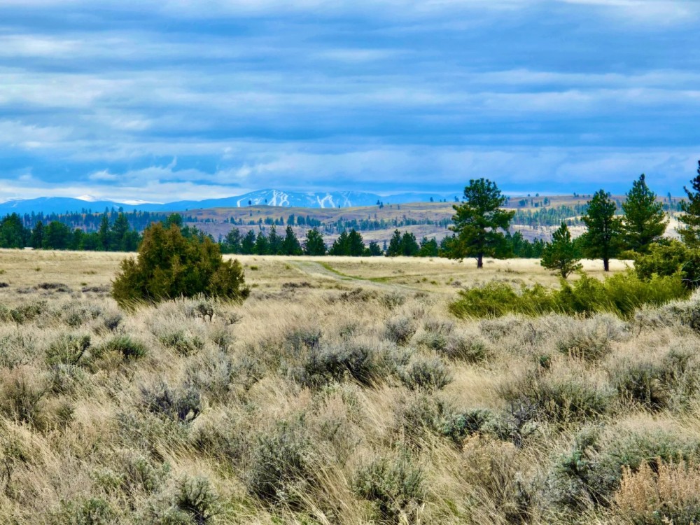 Peaceful Prairie Butte Road featured image