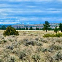 Peaceful Prairie Butte Road