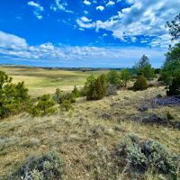 Peaceful Prairie Butte Road images 3