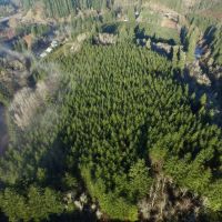 Trapp Creek images 3
