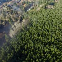Trapp Creek images 4