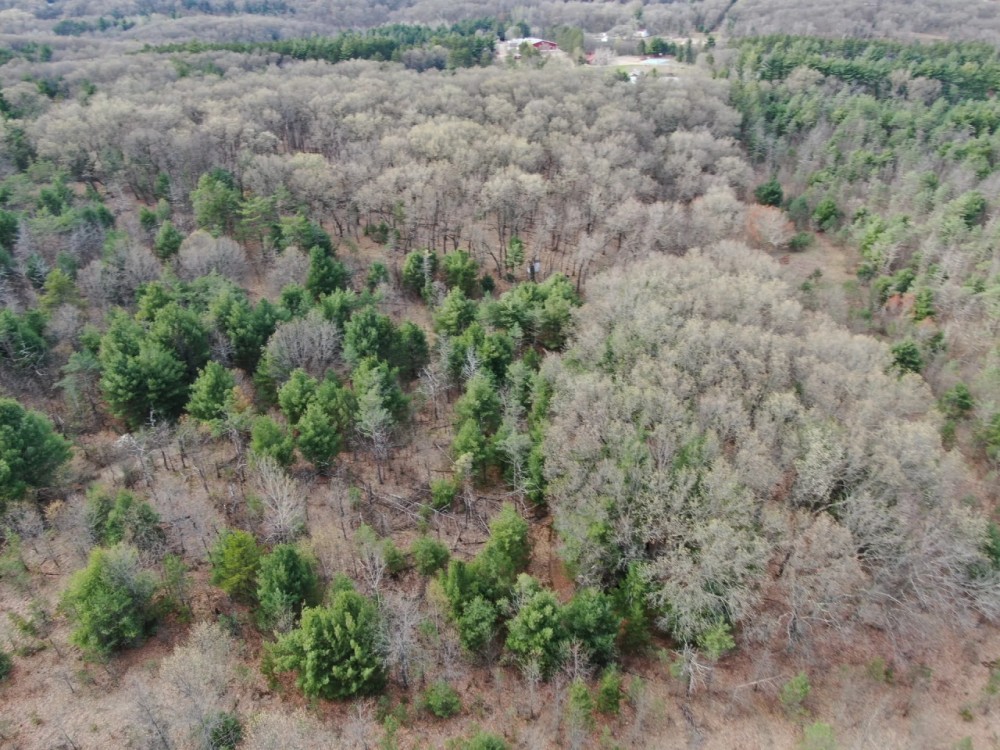 36-acre hunting and recreational property Waushara Cty featured image
