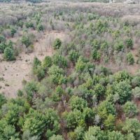 36-acre hunting and recreational property Waushara Cty images 2