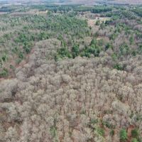 36-acre hunting and recreational property Waushara Cty images 3