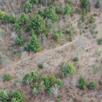 36-acre hunting and recreational property Waushara Cty images 4