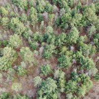 36-acre hunting and recreational property Waushara Cty images 5