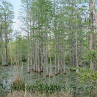 Smith Road Tract images 2