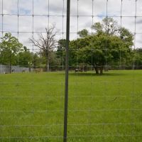 52.187 Acres - High Fence Game Ranch images 4