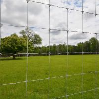 52.187 Acres - High Fence Game Ranch images 5