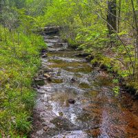 94 - Acres 3 Bedroom Brick Home Creek Excellent Hunting Cleveland Arkansas images 5