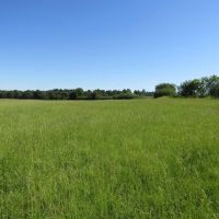 ROLLING HILL RANCHES DEVELOPMENT PHASE 2 Choctaw County OK LOT 4 30 AC images 5