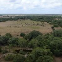 Devil s Garden Ranch