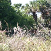 Devil s Garden Ranch images 5