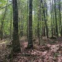 59-021-river-ranch-79 images 2