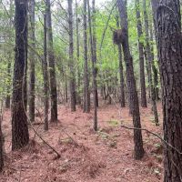 59-021-river-ranch-79 images 3