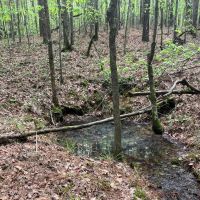 59-021-river-ranch-79 images 4
