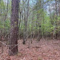 59-021-river-ranch-79 images 5