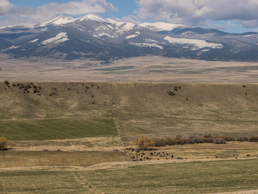 Burnt Hollow Ranch featured image