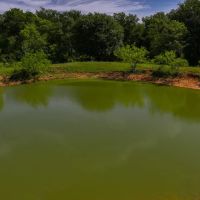 Henderson Farm images 2