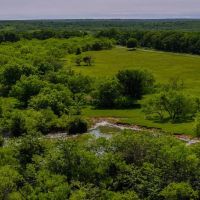 Henderson Farm images 3