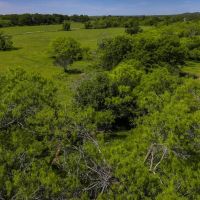 Henderson Farm images 5