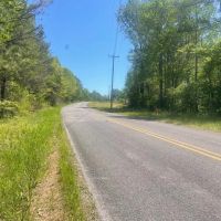 458 Bankhead Recreational and Timber Tract in Winston Co. AL images 2