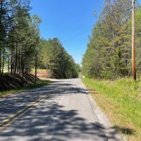 458 Bankhead Recreational and Timber Tract in Winston Co. AL images 3