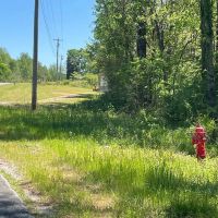 458 Bankhead Recreational and Timber Tract in Winston Co. AL images 4