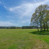 Rolling Meadows and Towering Oaks in Greenville images 4